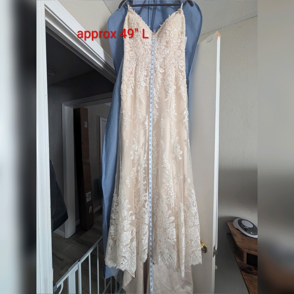 Maggie Sottero Nola Lace Wedding Dress - Picture 12 of 17